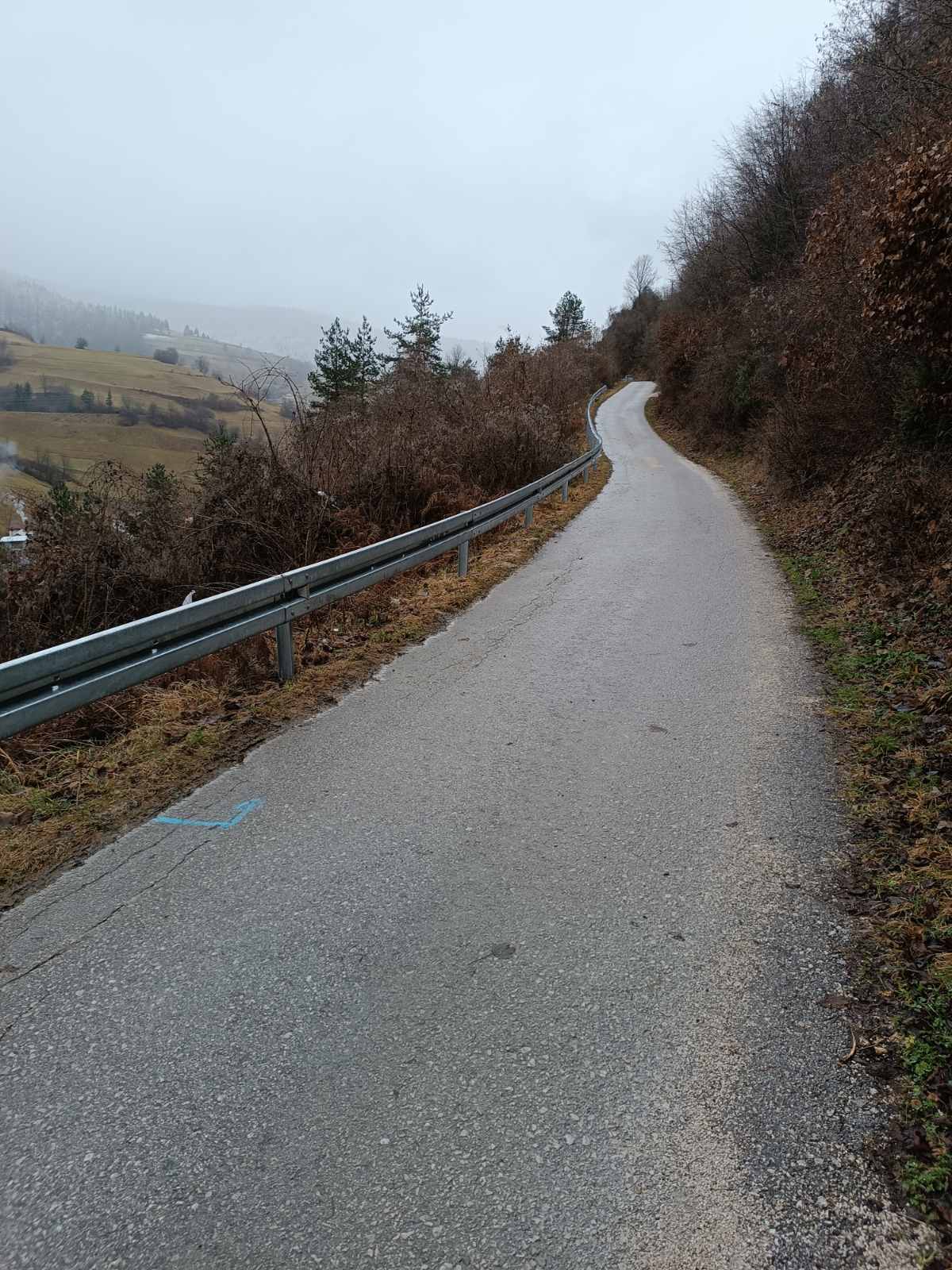 Postavljanje zaštitnih ograda uz lokalne prometnice