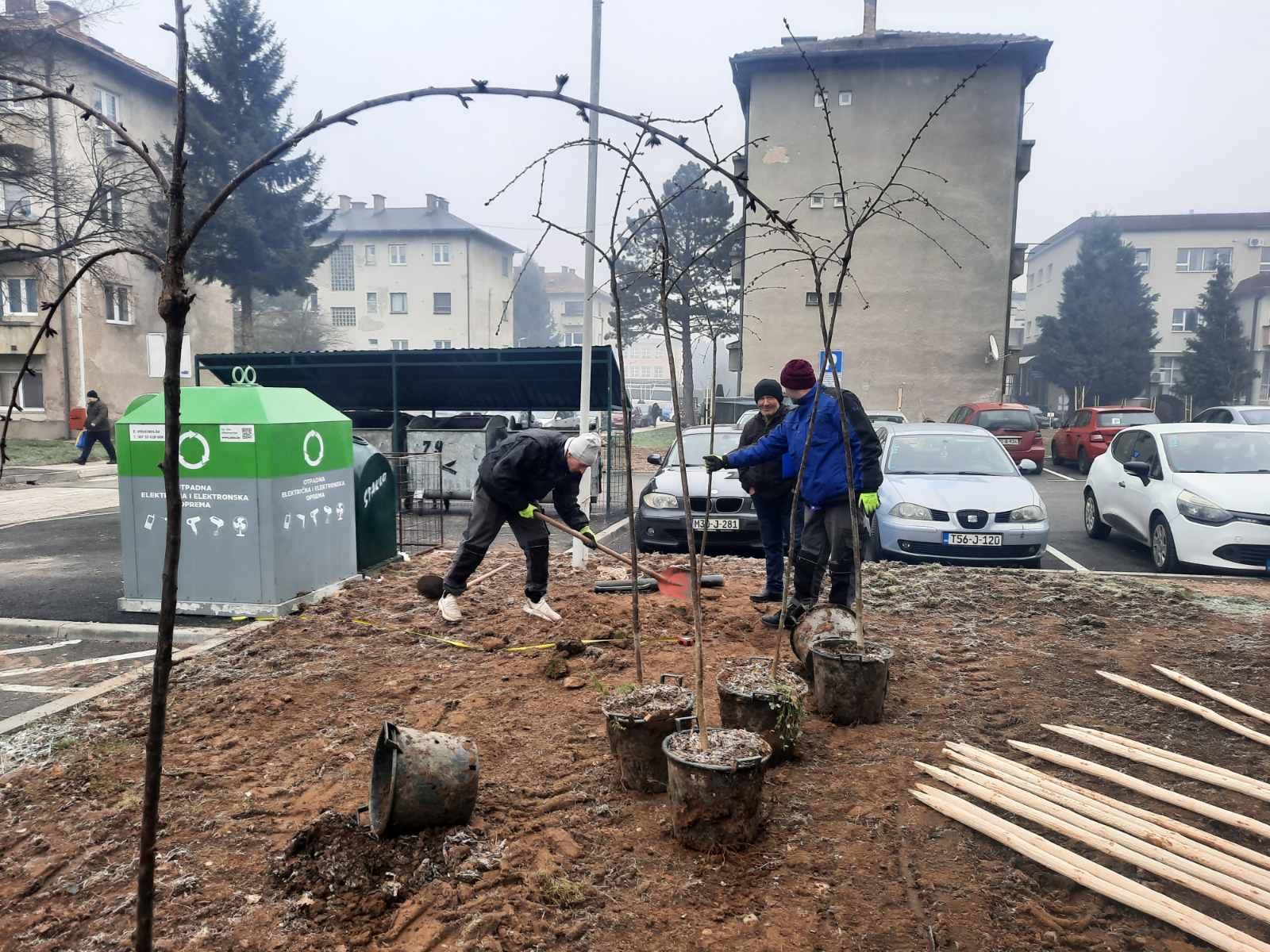 Završena sadnja 55 sadnica u gradskoj zoni